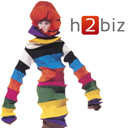 Tutti i Numeri di H2biz