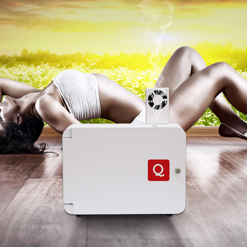 Profumatore Professionale Q2500v